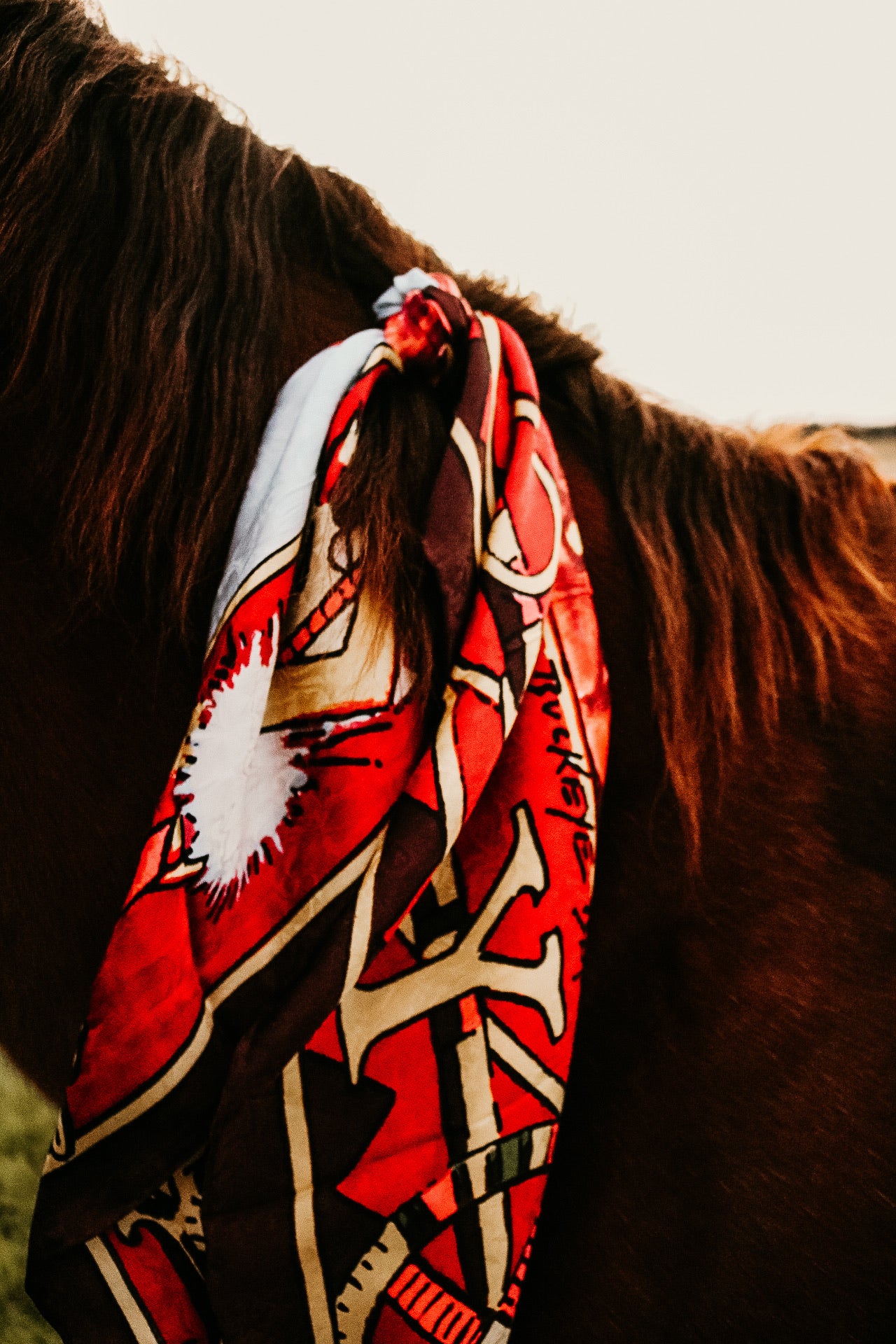 Buffalo Bill
