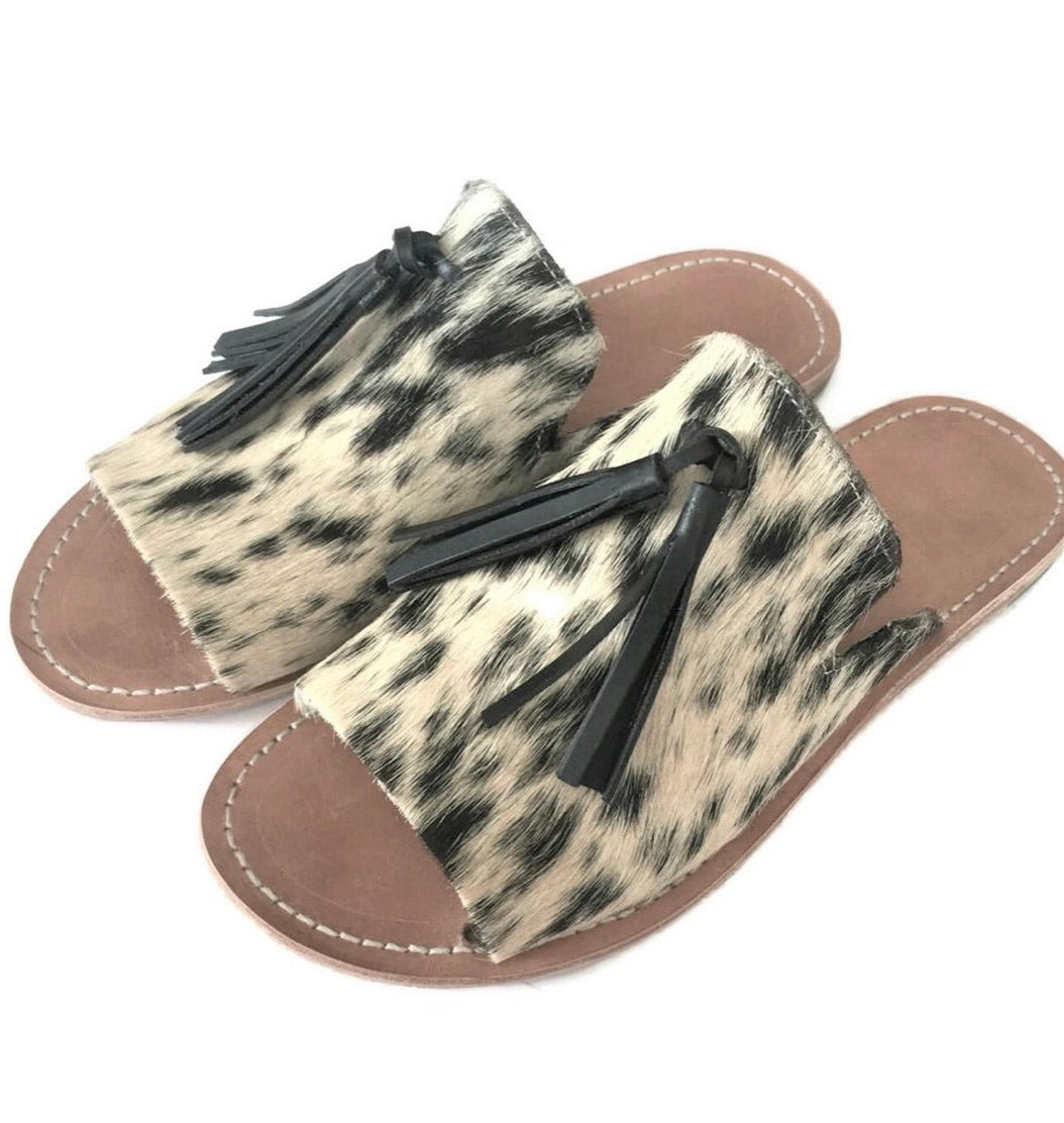 The Specks PREORDER