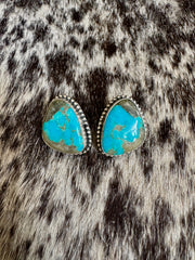 The Nico Studs