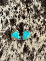 The Nico Studs