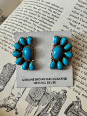 The Hoffman Cluster Earrings