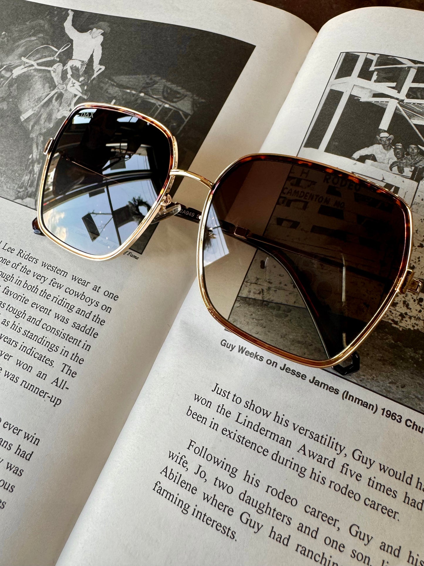 The Aspen - Brown