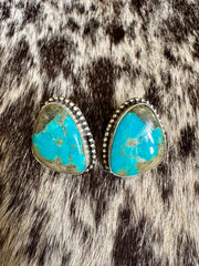The Nico Studs
