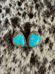 The Nico Studs