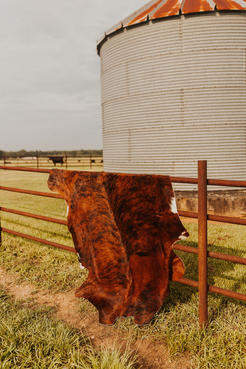 Large Cowhide Rug-3