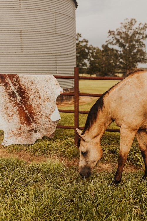 Large Cowhide Rug-7