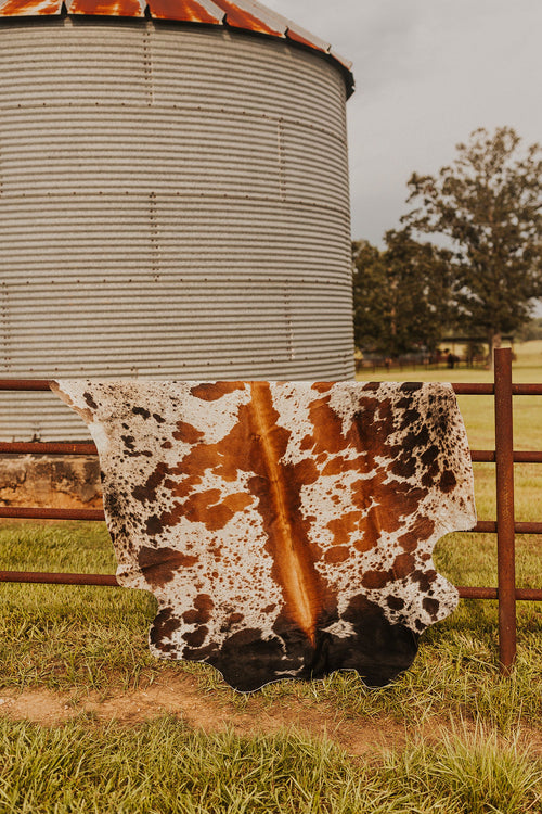 Large Cowhide Rug-9