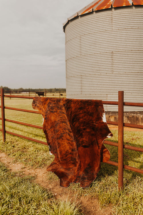 Large Cowhide Rug-3
